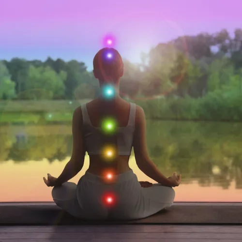Fiore di loto e pietre in equilibrio durante una seduta di meditazione